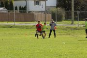 OTFL Gallery Image